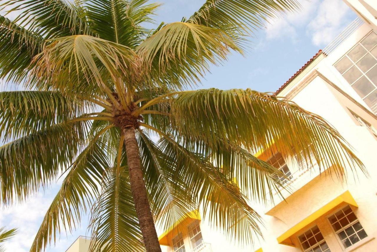 2 Bedroom Ocean Drive Newly Renovated ไมอามีบีช ภายนอก รูปภาพ